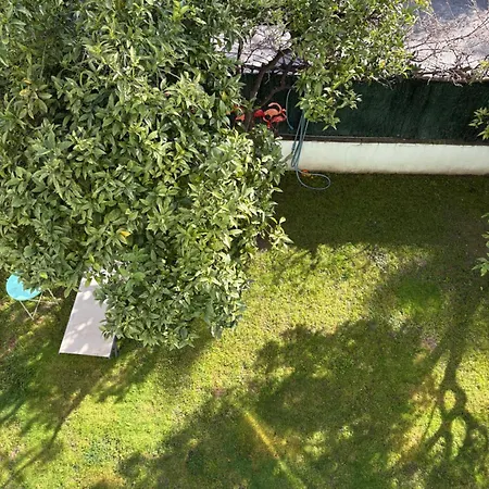 Affittacamere Festival Cannes