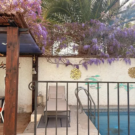 Affittacamere Festival